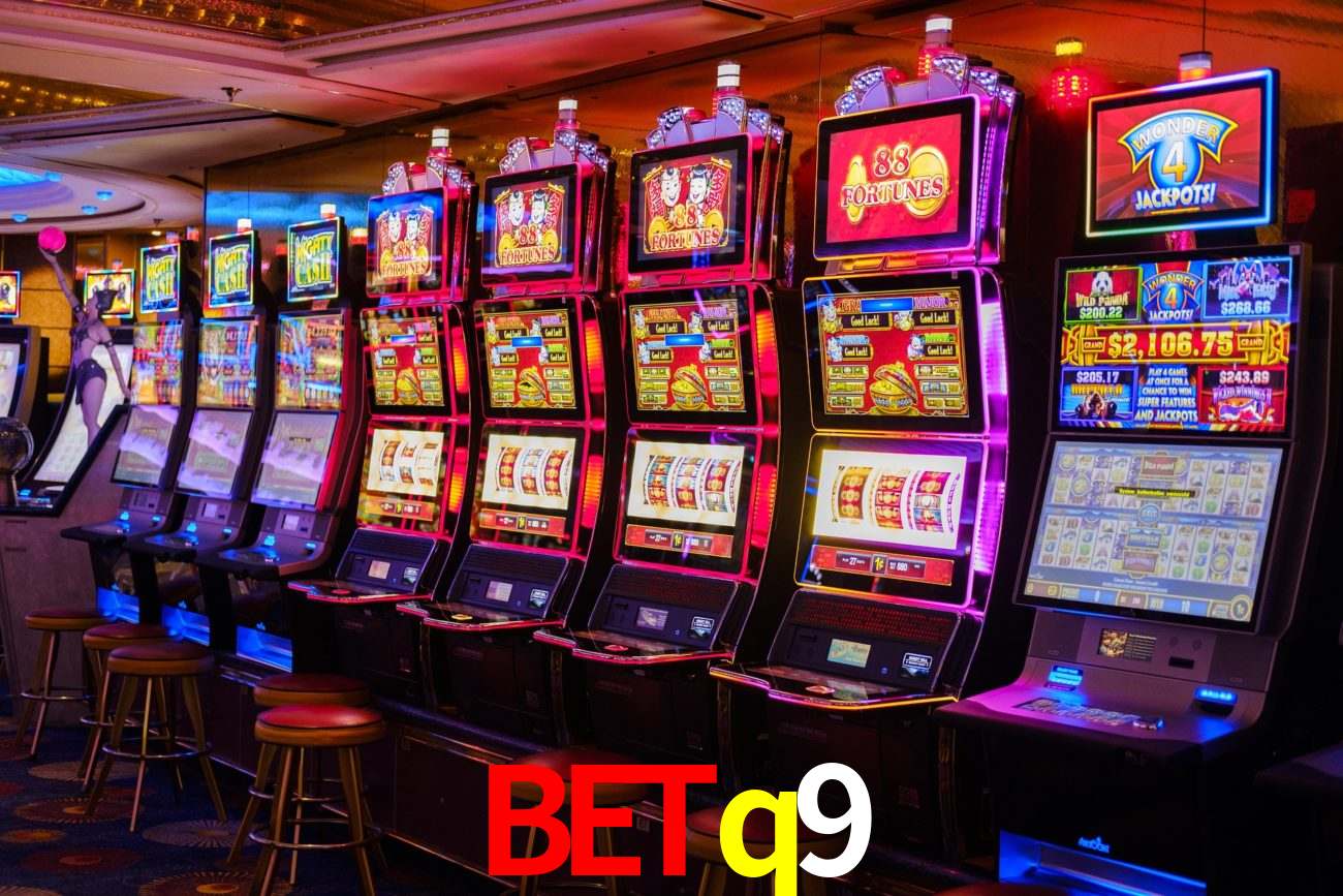 Experiência VIP betq9